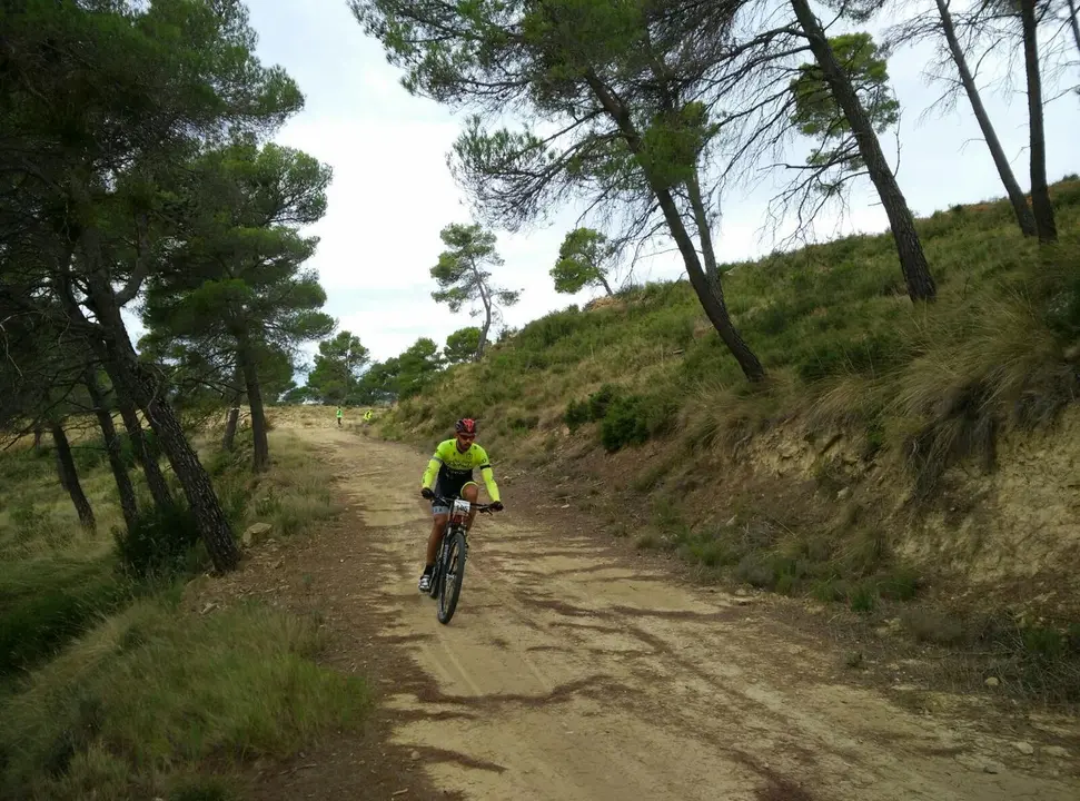 Un 'biker' pedalea en un descenso por los bosques de Luna en la pasada edici&oacute;n de la 'Milhombres'. Foto: Comarca Cinco Villas
