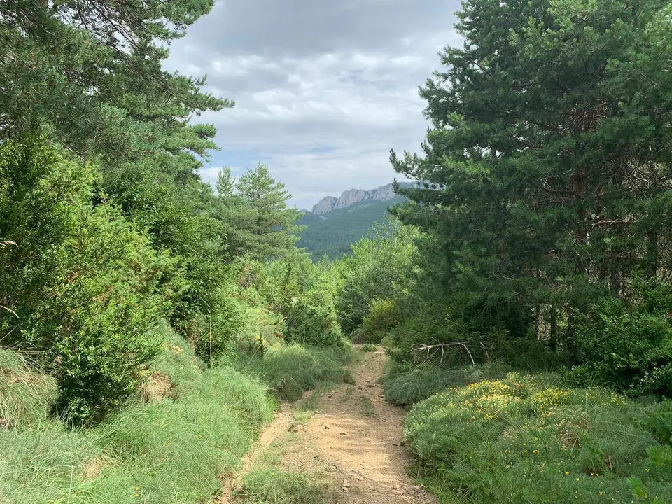 Paisaje de la pr&oacute;xima andada senderista. Foto: Comarca Cinco Villas