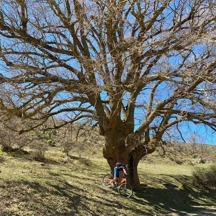 Un biker desciende por  el chaparro de An&aacute;s, un tramo de la ruta de Enduro abierta en Uncastillo, en la zaragozana Cinco Villas. Foto: Cedida