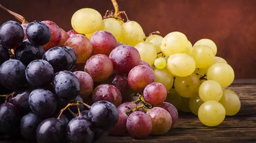 Racimos de uvas ideales para nuestra salud. 