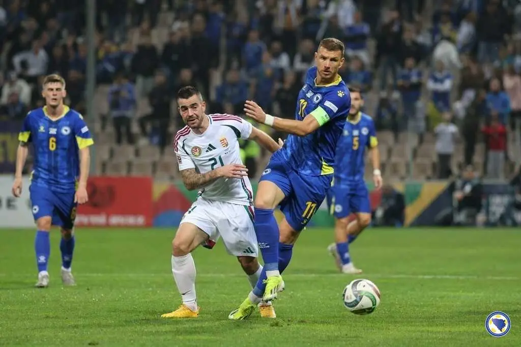 Edin Dzeko con Bosnia / NFS BIH