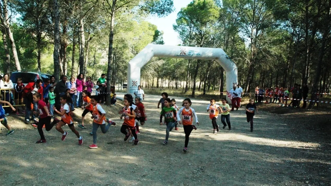 Foto: Comarca del Bajo Cinca