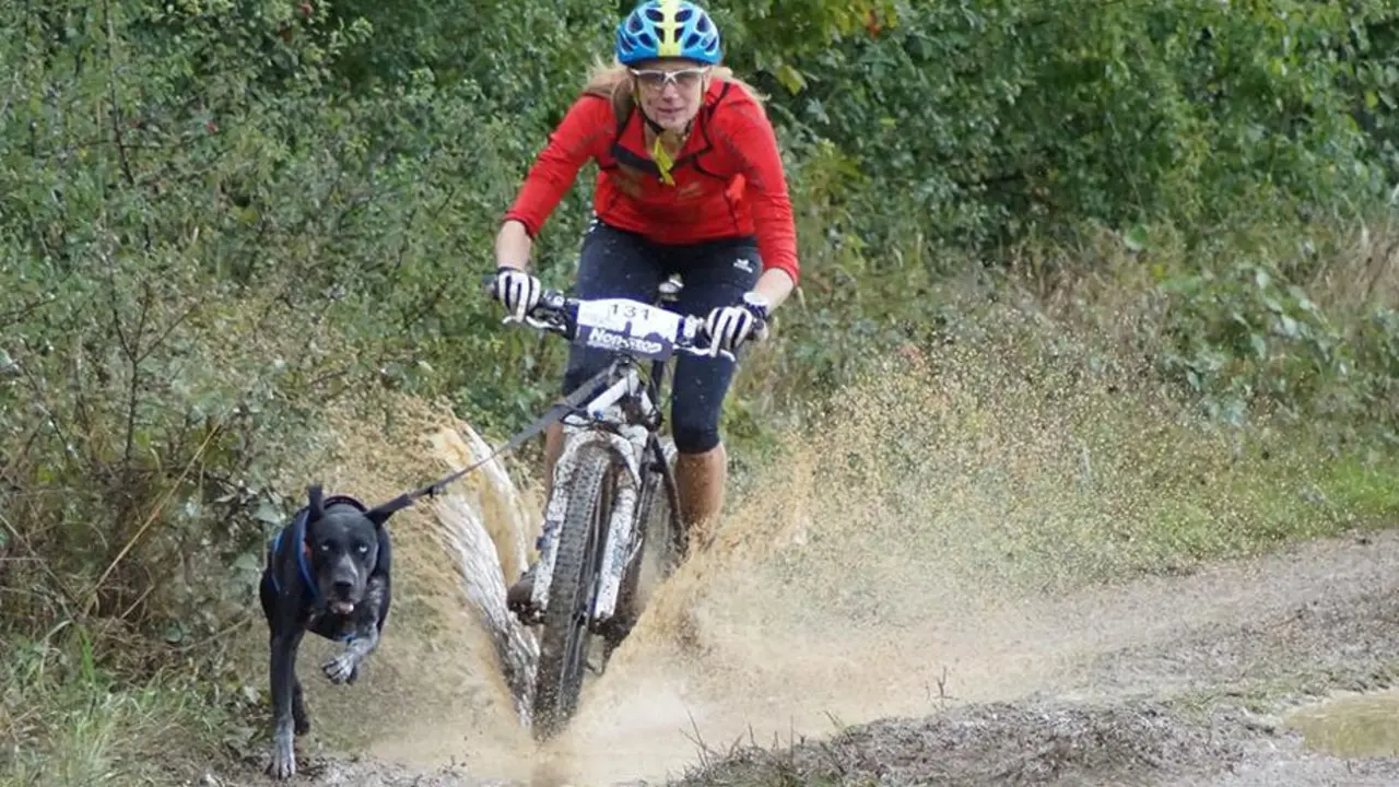 Modalidad de bikej&ouml;ring.
