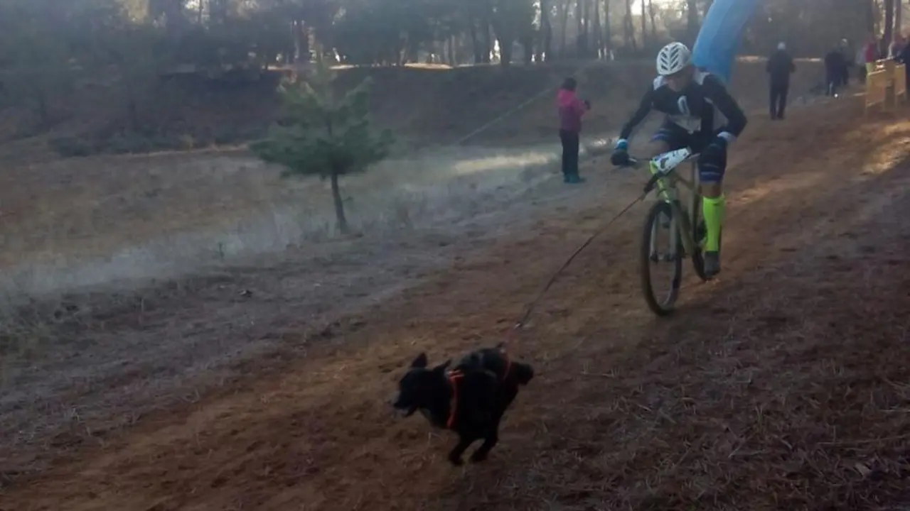 Imagen de la competici&oacute;n en &Oacute;lvega | Foto: Oscanicross