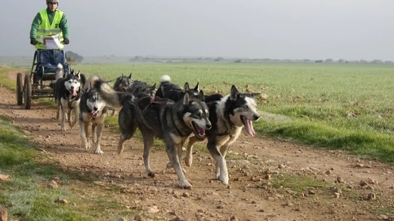 Foto: Los Monegros