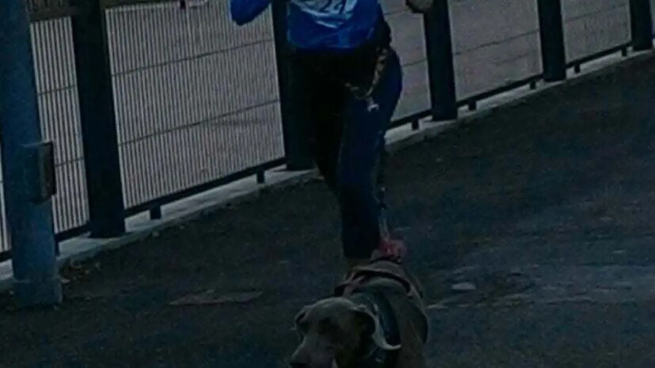 Tamara V&aacute;zquez, con su inagotable compa&ntilde;era Diana.