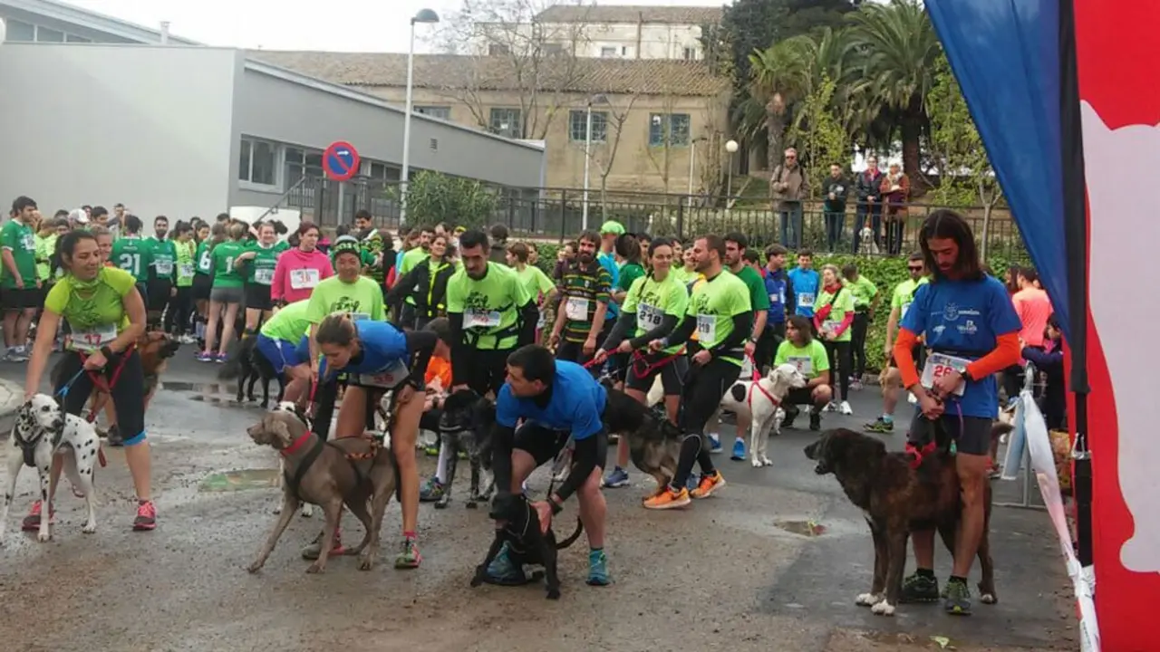 Imagen de la salida.