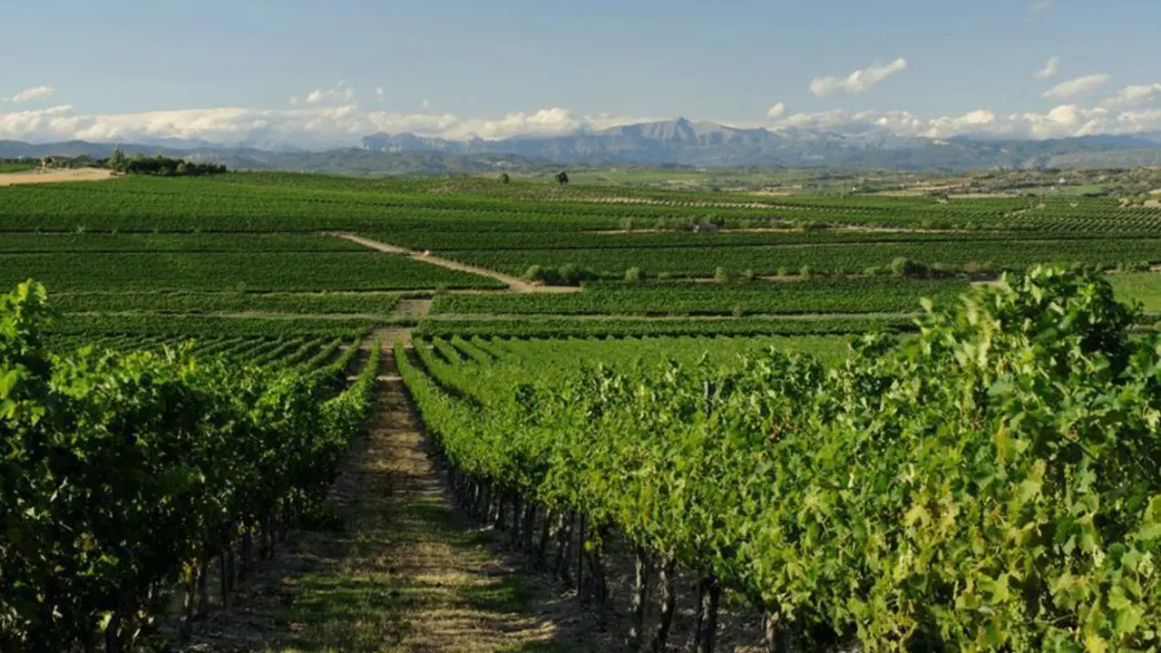 Paisaje del Somontano | Foto: Wine Tunning
