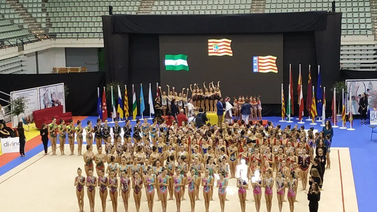 La gimnasia r&iacute;timica espa&ntilde;ola tiene como directora general a la aragonesa Nancy Usero. Foto: Cedida