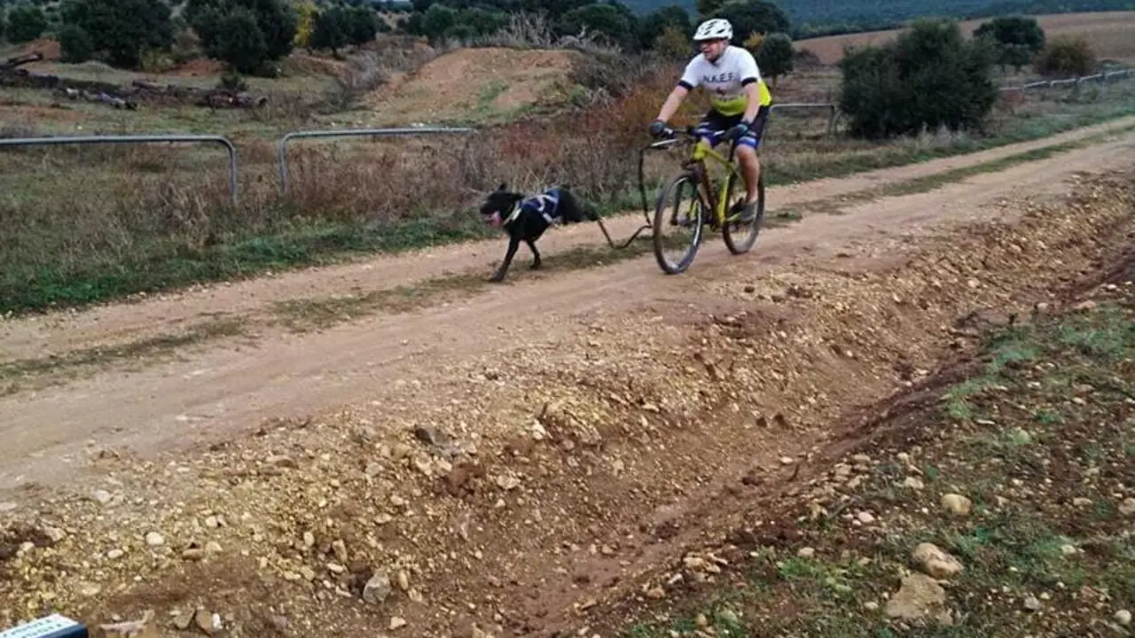 Andr&eacute;s Villacampa, en la modalidad bikej&ouml;ring. Foto:  Canicross Huesca