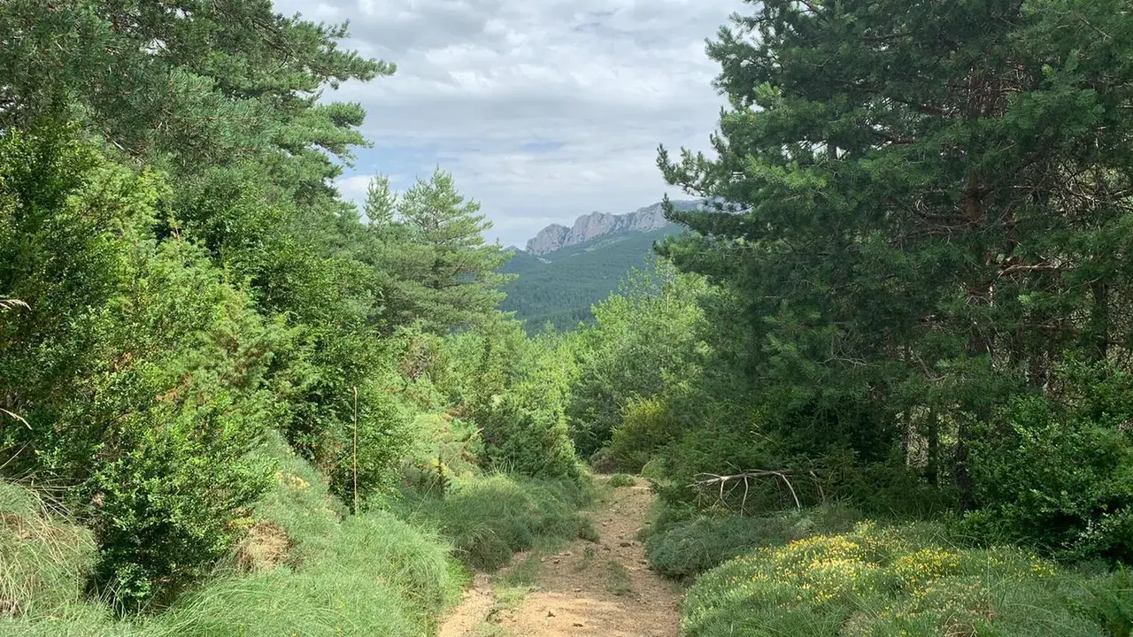 Paisaje de la pr&oacute;xima andada senderista. Foto: Comarca Cinco Villas