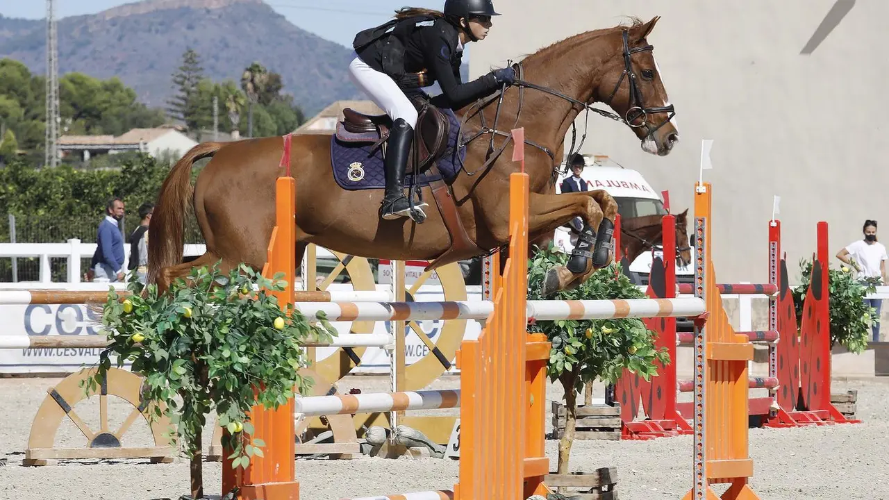 Daniela Chico salva un obst&aacute;culo sobre 'Atout de Goudal'. Foto: Cedida