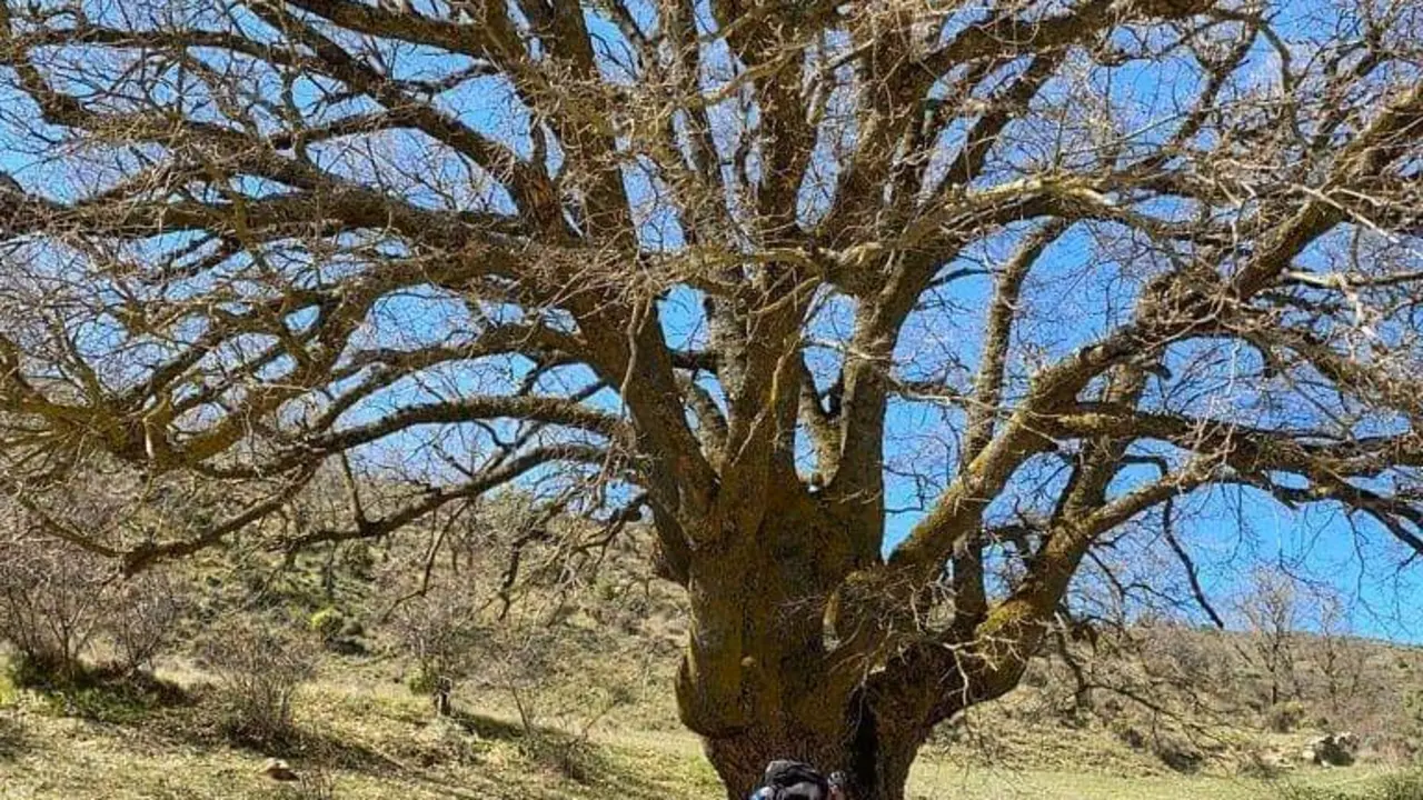 Un biker desciende por  el chaparro de An&aacute;s, un tramo de la ruta de Enduro abierta en Uncastillo, en la zaragozana Cinco Villas. Foto: Cedida