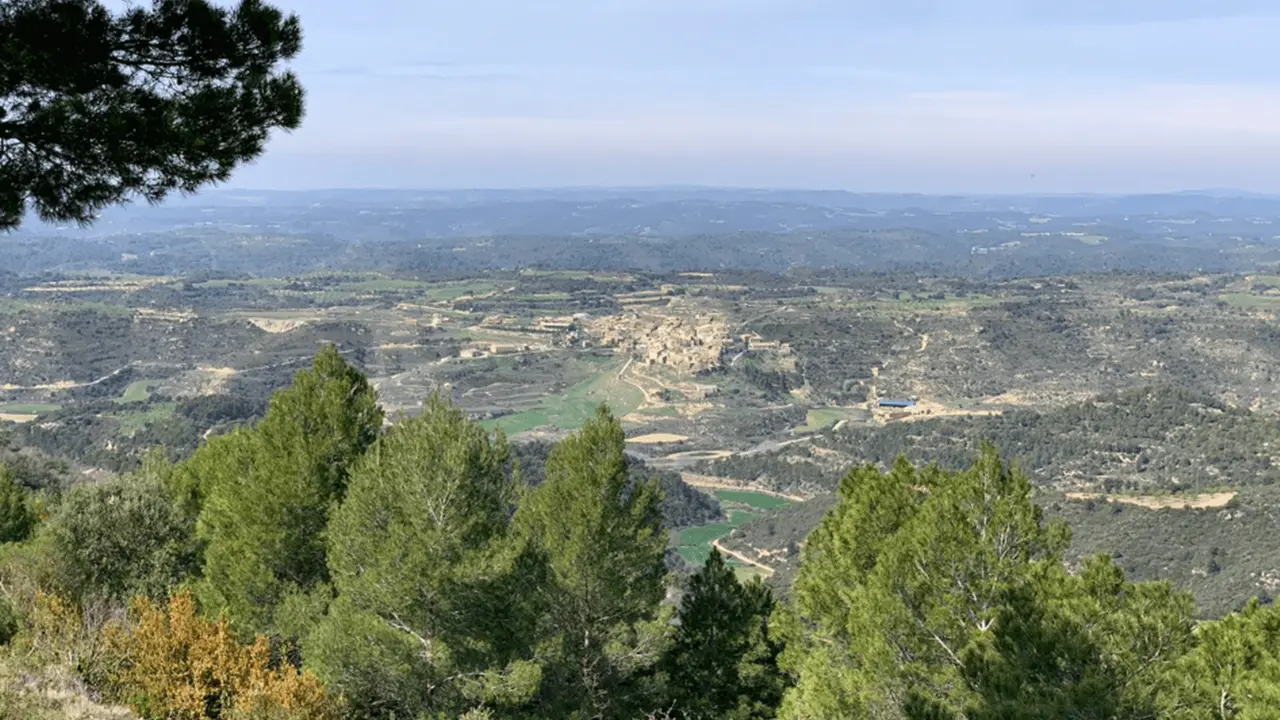 Imagen que se puede contemplar en un tramo de la andada entre El Frago y Or&eacute;s. Foto: Comarca Cinco Villas