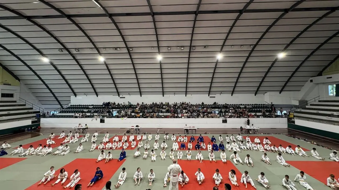 Hasta 40 judokas participaron en una jornada repleta de actividades. Fotograf&iacute;a: Club Ib&oacute;n.