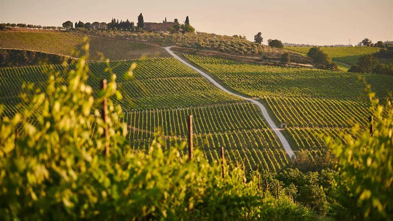 Bodegas de vino / NATIONAL GEOGRAPHIC