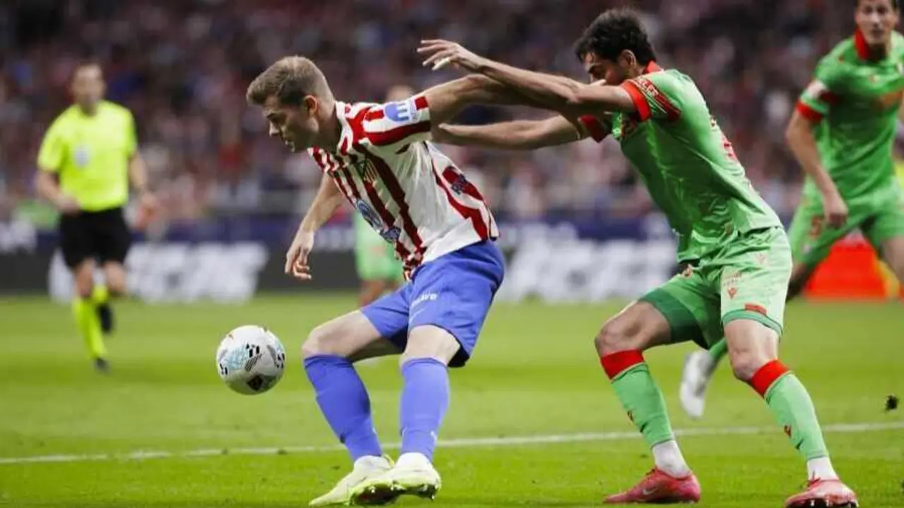 S&ouml;rloth en el Atl&eacute;tico de Madrid - Osasuna / LaLiga