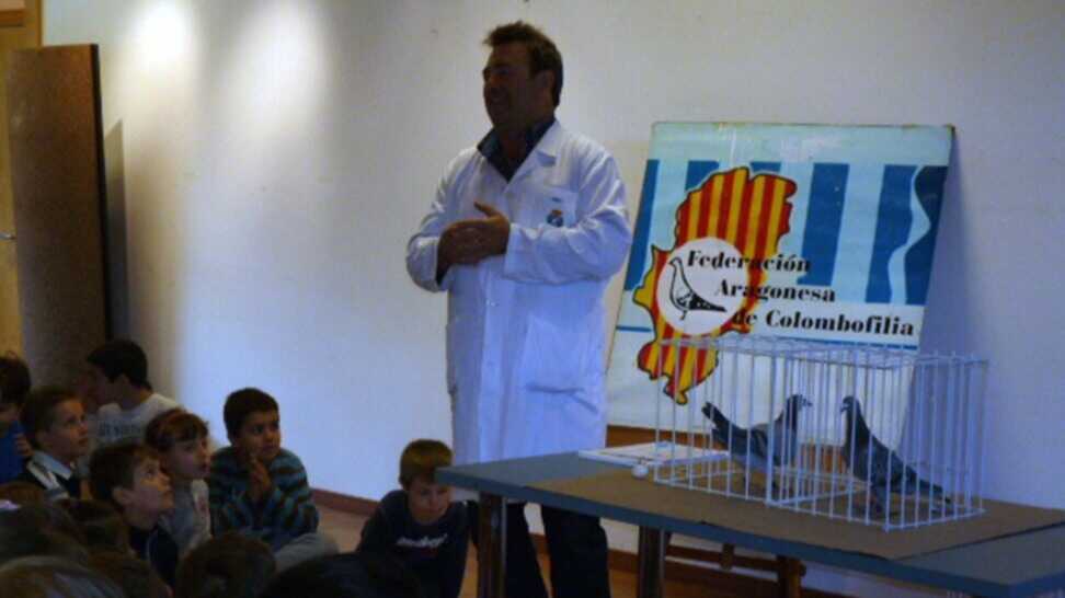 Charla en un colegio. Fotografía: Cestas preparadas para la competición. Fotografía: Federación Aragonesa de Colombofilia.