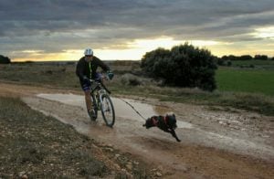 Imagen durante una de las competiciones | Foto: Club Oscanicross Peña La Parrilla