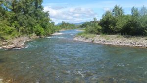 Imagen del río Aragón.