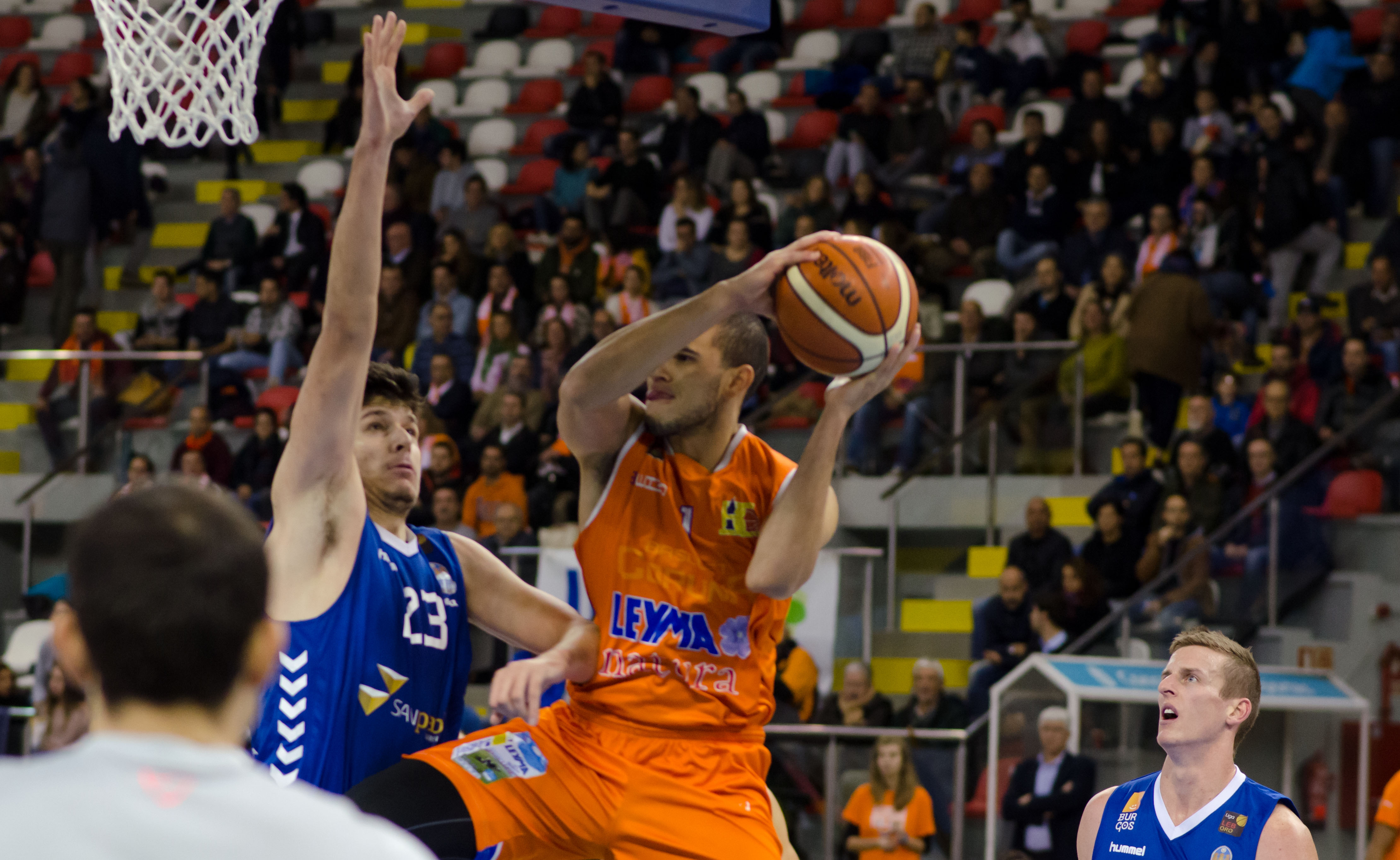 Leyma Coruña lidera junto a Lleida la Jornada 8 | Foto: Basquet Coruña