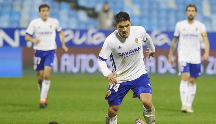 Toro Fernández