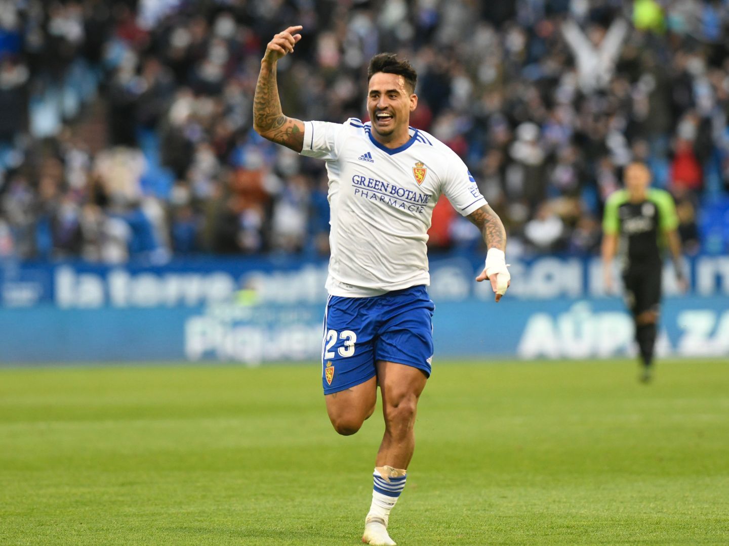 El segundo gol del Real Zaragoza ante el Sporting