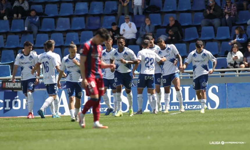 Vilarrasa con los jugadores del Tenerife al fondo celebrando el gol de Maikel Mesa. foto: LaLiga