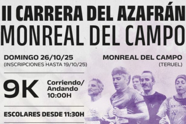 monreal del campo
