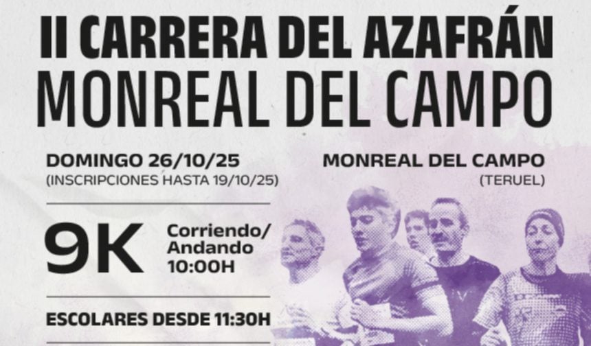 monreal del campo