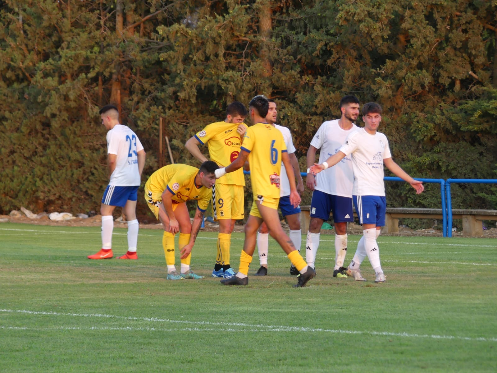 copa diputación